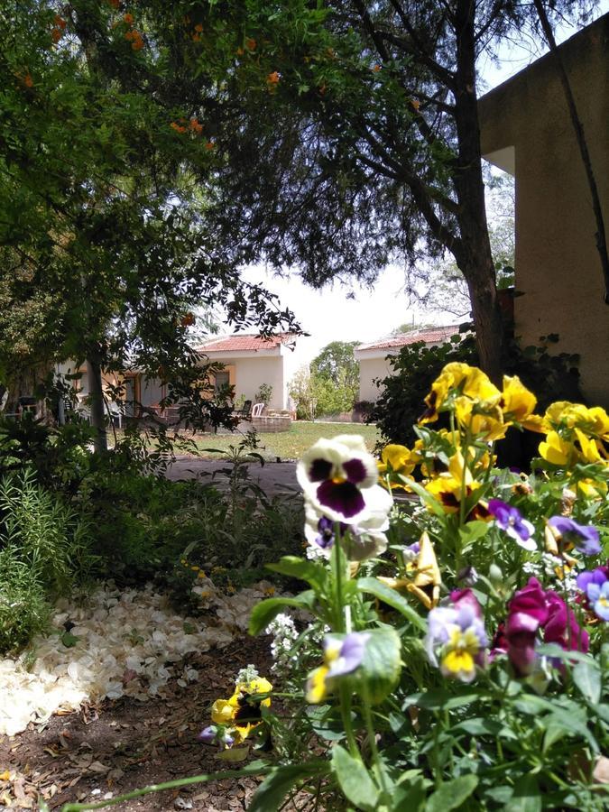 Jordan Valley Birding Lodge Kefar Ruppin Luaran gambar